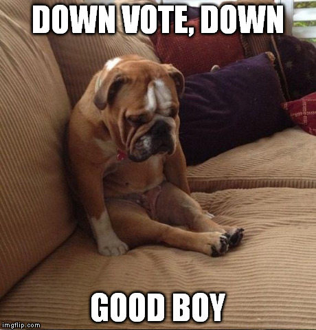 DOWN VOTE, DOWN GOOD BOY | made w/ Imgflip meme maker