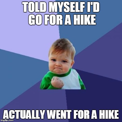 Success Kid Meme | TOLD MYSELF I'D GO FOR A HIKE ACTUALLY WENT FOR A HIKE | image tagged in memes,success kid | made w/ Imgflip meme maker