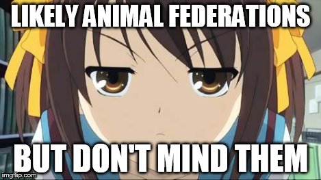 Haruhi stare | LIKELY ANIMAL FEDERATIONS BUT DON'T MIND THEM | image tagged in haruhi stare | made w/ Imgflip meme maker
