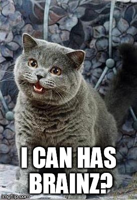 I can has cheezburger cat | I CAN HAS BRAINZ? | image tagged in i can has cheezburger cat | made w/ Imgflip meme maker
