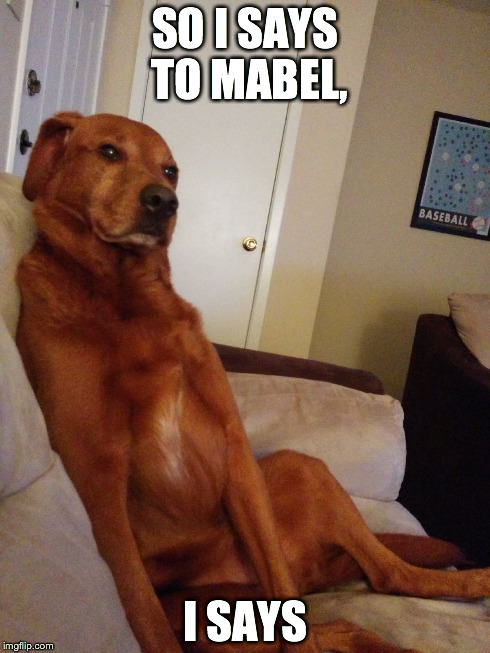 Down to Business Dog | SO I SAYS TO MABEL, I SAYS | image tagged in down to business dog | made w/ Imgflip meme maker