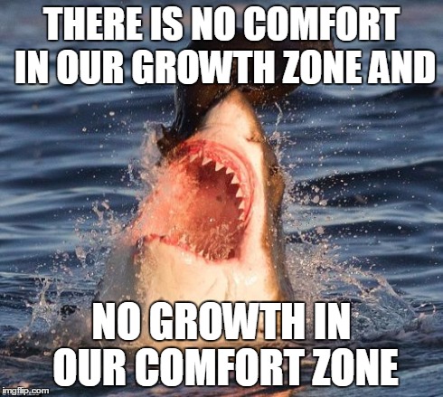 Travelonshark Meme | THERE IS NO COMFORT IN OUR GROWTH ZONE AND NO GROWTH IN OUR COMFORT ZONE | image tagged in memes,travelonshark | made w/ Imgflip meme maker