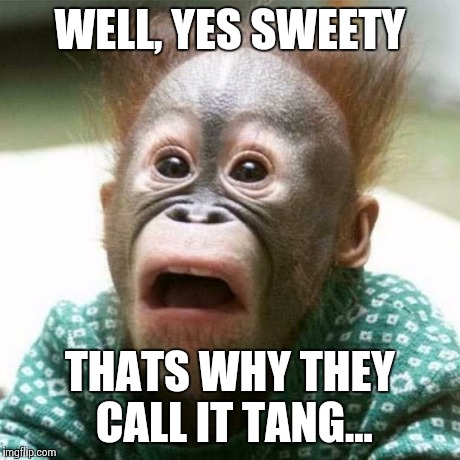 TMI | WELL, YES SWEETY THATS WHY THEY CALL IT TANG... | image tagged in shocked monkey,monkey | made w/ Imgflip meme maker