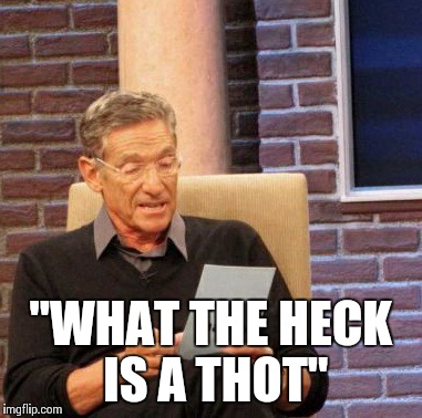 Maury Asks | "WHAT THE HECK IS A THOT" | image tagged in memes,maury lie detector,maury,thots | made w/ Imgflip meme maker