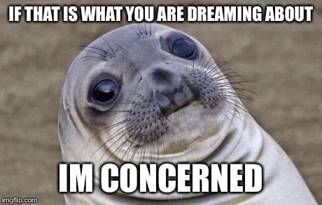 Awkward Moment Sealion Meme | IF THAT IS WHAT YOU ARE DREAMING ABOUT IM CONCERNED | image tagged in memes,awkward moment sealion | made w/ Imgflip meme maker
