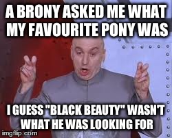 Dr Evil Laser | A BRONY ASKED ME WHAT MY FAVOURITE PONY WAS I GUESS "BLACK BEAUTY" WASN'T WHAT HE WAS LOOKING FOR | image tagged in memes,dr evil laser | made w/ Imgflip meme maker