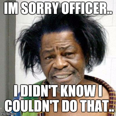 Cheese | IM SORRY OFFICER.. I DIDN'T KNOW I COULDN'T DO THAT.. | image tagged in james brown,busted,arrested,mugshot | made w/ Imgflip meme maker