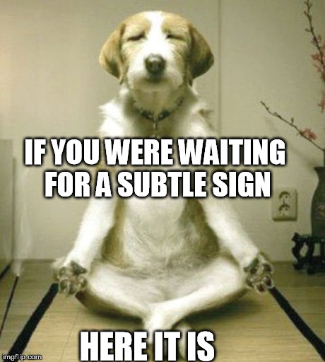 Guru Benji | IF YOU WERE WAITING FOR A SUBTLE SIGN HERE IT IS | image tagged in signs | made w/ Imgflip meme maker