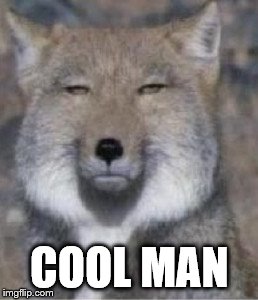serious wolf | COOL MAN | image tagged in cool,man,wolf,unimpressed,serious,face | made w/ Imgflip meme maker