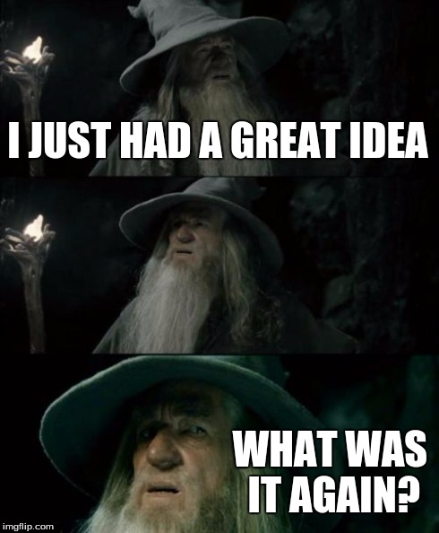 Confused Gandalf Meme | I JUST HAD A GREAT IDEA WHAT WAS IT AGAIN? | image tagged in memes,confused gandalf | made w/ Imgflip meme maker