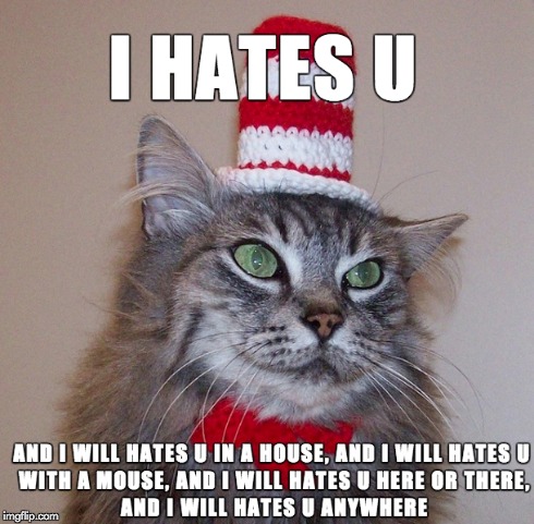 Cat in a hat | image tagged in memes,funny cat memes,cat meme,funny,cat in the hat | made w/ Imgflip meme maker
