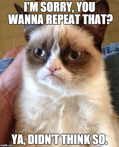 Grumpy Cat | I'M SORRY, YOU WANNA REPEAT THAT? YA, DIDN'T THINK SO. | image tagged in memes,grumpy cat | made w/ Imgflip meme maker