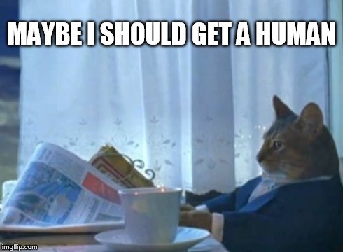 I Should Buy A Boat Cat Meme | MAYBE I SHOULD GET A HUMAN | image tagged in memes,i should buy a boat cat | made w/ Imgflip meme maker