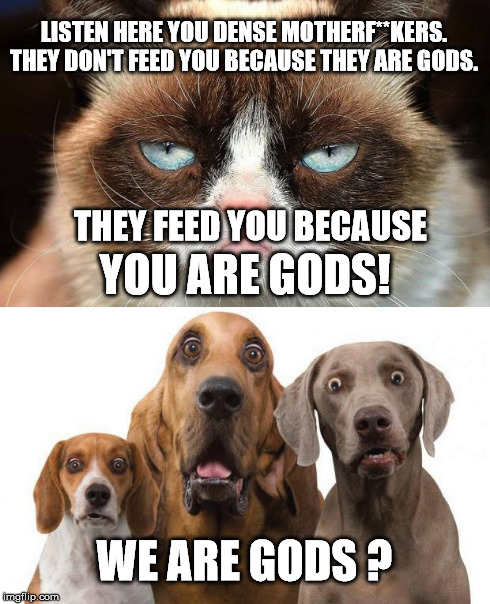 Cats understand Deity | LISTEN HERE YOU DENSE MOTHERF**KERS. THEY DON'T FEED YOU BECAUSE THEY ARE GODS. YOU ARE GODS! THEY FEED YOU BECAUSE WE ARE GODS ? | image tagged in grumpy cat,wisdom,sudden clarity clarence | made w/ Imgflip meme maker