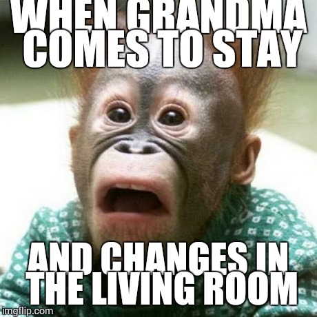 Shocked Monkey | WHEN GRANDMA COMES TO STAY AND CHANGES IN THE LIVING ROOM | image tagged in shocked monkey | made w/ Imgflip meme maker