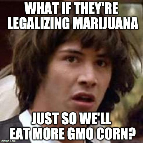 Marijuana Conspiracy | WHAT IF THEY'RE LEGALIZING MARIJUANA JUST SO WE'LL EAT MORE GMO CORN? | image tagged in memes,conspiracy keanu,marijuana,weed,gmo,conspiracy | made w/ Imgflip meme maker