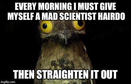 Weird Stuff I Do Potoo Meme | EVERY MORNING I MUST GIVE MYSELF A MAD SCIENTIST HAIRDO THEN STRAIGHTEN IT OUT | image tagged in memes,weird stuff i do potoo,AdviceAnimals | made w/ Imgflip meme maker