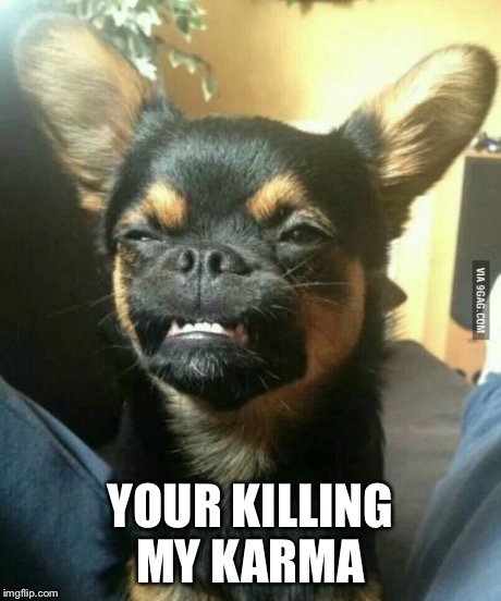 alien dog | YOUR KILLING MY KARMA | image tagged in alien dog | made w/ Imgflip meme maker