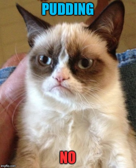 Grumpy Cat Meme | PUDDING NO | image tagged in memes,grumpy cat | made w/ Imgflip meme maker