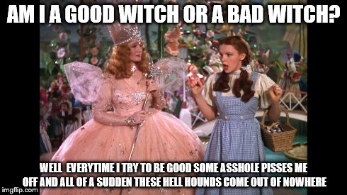Good witch or bad witch | AM I A GOOD WITCH OR A BAD WITCH? WELL  EVERYTIME I TRY TO BE GOOD SOME ASSHOLE PISSES ME OFF AND ALL OF A SUDDEN THESE HELL HOUNDS COME OUT | image tagged in witch,good,bad,wizard of oz | made w/ Imgflip meme maker