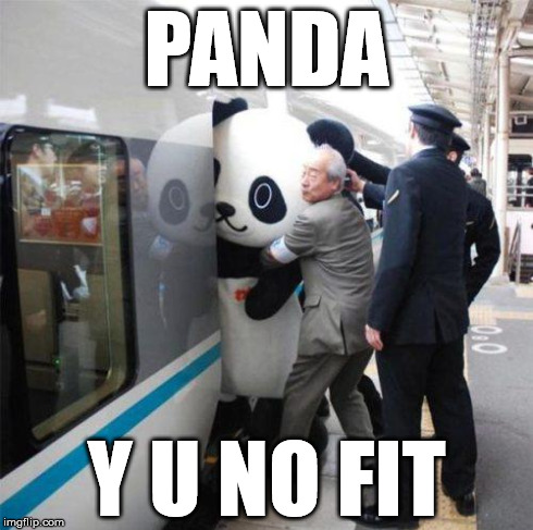 panda y u no | PANDA Y U NO FIT | image tagged in panda,train,y u no | made w/ Imgflip meme maker