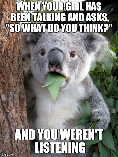 Surprised Koala Meme | WHEN YOUR GIRL HAS BEEN TALKING AND ASKS, "SO WHAT DO YOU THINK?" AND YOU WEREN'T LISTENING | image tagged in memes,surprised koala | made w/ Imgflip meme maker