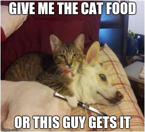 Warning killer cat | GIVE ME THE CAT FOOD OR THIS GUY GETS IT | image tagged in warning killer cat | made w/ Imgflip meme maker
