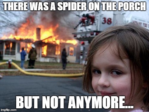 Disaster Girl | THERE WAS A SPIDER ON THE PORCH BUT NOT ANYMORE... | image tagged in memes,disaster girl | made w/ Imgflip meme maker