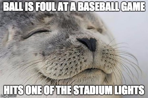 Satisfied Seal | BALL IS FOUL AT A BASEBALL GAME HITS ONE OF THE STADIUM LIGHTS | image tagged in memes,satisfied seal | made w/ Imgflip meme maker