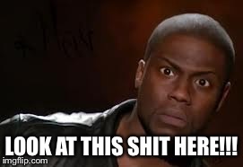 Kevin Hart | LOOK AT THIS SHIT HERE!!! | image tagged in memes,kevin hart the hell | made w/ Imgflip meme maker