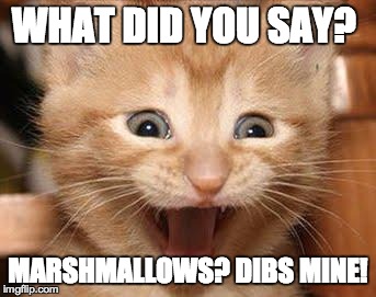 Excited Cat | WHAT DID YOU SAY? MARSHMALLOWS? DIBS MINE! | image tagged in memes,excited cat | made w/ Imgflip meme maker