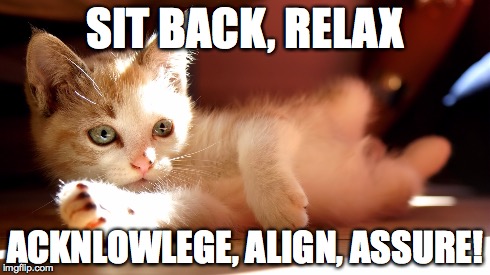 kitten | SIT BACK, RELAX ACKNLOWLEGE, ALIGN, ASSURE! | image tagged in tech support | made w/ Imgflip meme maker