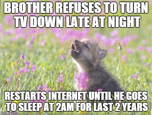 Baby Insanity Wolf Meme | BROTHER REFUSES TO TURN TV DOWN LATE AT NIGHT RESTARTS INTERNET UNTIL HE GOES TO SLEEP AT 2AM FOR LAST 2 YEARS | image tagged in memes,baby insanity wolf,AdviceAnimals | made w/ Imgflip meme maker