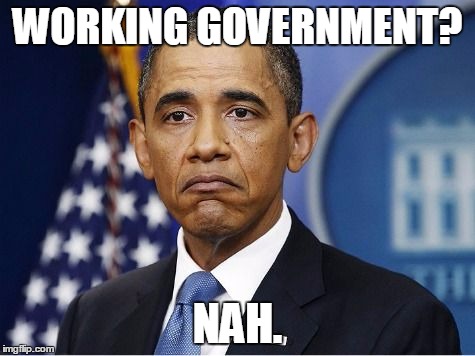 WORKING GOVERNMENT? NAH. | image tagged in not bad obama | made w/ Imgflip meme maker