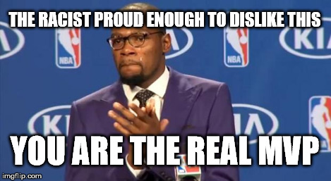 You The Real MVP Meme | THE RACIST PROUD ENOUGH TO DISLIKE THIS YOU ARE THE REAL MVP | image tagged in memes,you the real mvp | made w/ Imgflip meme maker