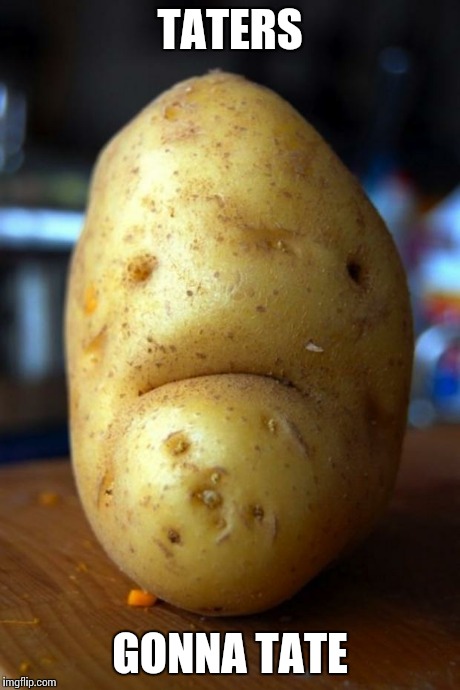 sad potato | TATERS GONNA TATE | image tagged in sad potato | made w/ Imgflip meme maker