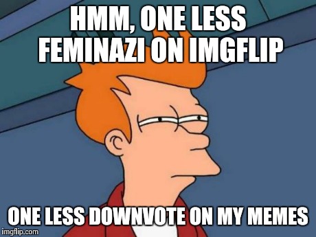 I'm just sayin. | HMM, ONE LESS FEMINAZI ON IMGFLIP ONE LESS DOWNVOTE ON MY MEMES | image tagged in memes,futurama fry | made w/ Imgflip meme maker