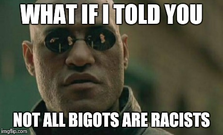 Matrix Morpheus Meme | WHAT IF I TOLD YOU NOT ALL BIGOTS ARE RACISTS | image tagged in memes,matrix morpheus | made w/ Imgflip meme maker