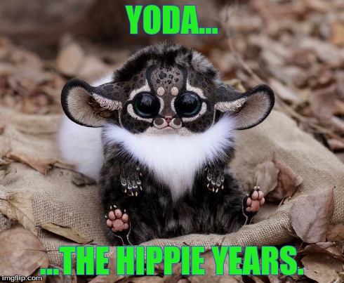 YODA... ...THE HIPPIE YEARS. | image tagged in humor | made w/ Imgflip meme maker