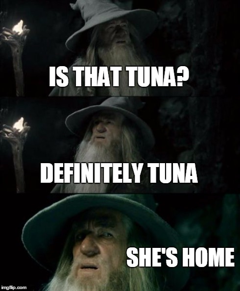 Confused Gandalf | IS THAT TUNA? DEFINITELY TUNA SHE'S HOME | image tagged in memes,confused gandalf | made w/ Imgflip meme maker