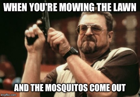 Am I The Only One Around Here Meme | WHEN YOU'RE MOWING THE LAWN AND THE MOSQUITOS COME OUT | image tagged in memes,am i the only one around here | made w/ Imgflip meme maker