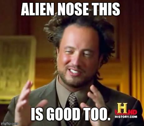 Ancient Aliens Meme | ALIEN NOSE THIS IS GOOD TOO. | image tagged in memes,ancient aliens | made w/ Imgflip meme maker