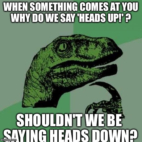 Philosoraptor | WHEN SOMETHING COMES AT YOU WHY DO WE SAY 'HEADS UP!' ? SHOULDN'T WE BE SAYING HEADS DOWN? | image tagged in memes,philosoraptor | made w/ Imgflip meme maker