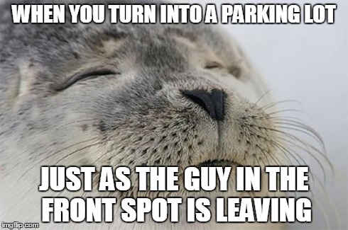 Satisfied Seal | WHEN YOU TURN INTO A PARKING LOT JUST AS THE GUY IN THE FRONT SPOT IS LEAVING | image tagged in memes,satisfied seal,AdviceAnimals | made w/ Imgflip meme maker