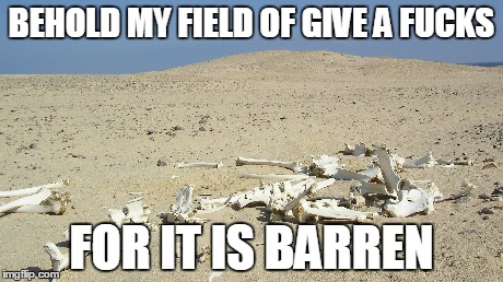 Behold My Field | BEHOLD MY FIELD OF GIVE A F**KS FOR IT IS BARREN | image tagged in desert | made w/ Imgflip meme maker