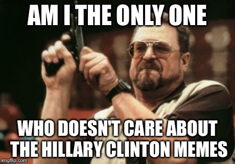 Am I The Only One Around Here | AM I THE ONLY ONE WHO DOESN'T CARE ABOUT THE HILLARY CLINTON MEMES | image tagged in memes,am i the only one around here | made w/ Imgflip meme maker