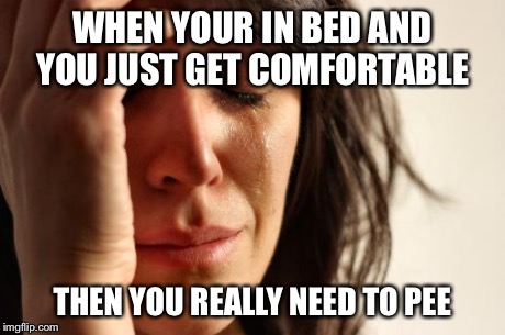 First World Problems | WHEN YOUR IN BED AND YOU JUST GET COMFORTABLE THEN YOU REALLY NEED TO PEE | image tagged in memes,first world problems | made w/ Imgflip meme maker