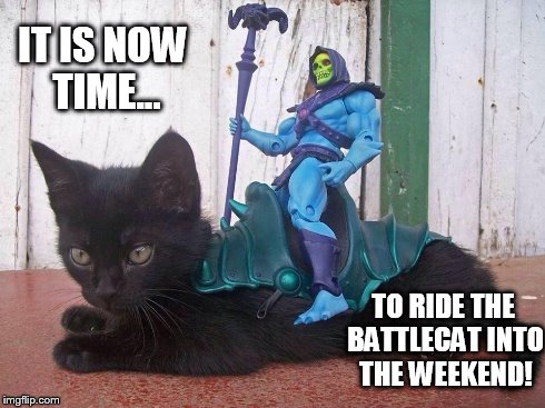 IT IS NOW TIME... TO RIDE THE BATTLECAT INTO THE WEEKEND! | image tagged in weekend cat | made w/ Imgflip meme maker