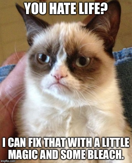 Grumpy Cat Meme | YOU HATE LIFE? I CAN FIX THAT WITH A LITTLE MAGIC AND SOME BLEACH. | image tagged in memes,grumpy cat | made w/ Imgflip meme maker