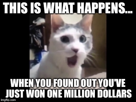 THIS IS WHAT HAPPENS... WHEN YOU FOUND OUT YOU'VE JUST WON ONE MILLION DOLLARS | image tagged in meme omg | made w/ Imgflip meme maker